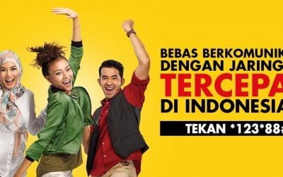 Paket Internet Indosat Unlimited 4.8 (238)