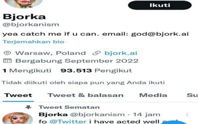 Bjorka buat heboh jagat Maya Indonesia 4.8 (189)