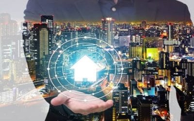 Tahu Time Will Tell 4.9 (167)