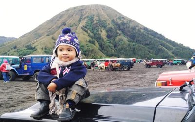 Mempergunakan Google Lens Computer 4.8 (109)