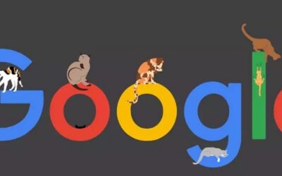 Investasi Google Ditolak Oleh  Startup 4.8 (38)