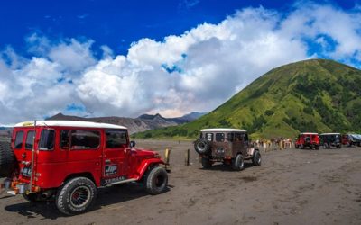 Pengingat aktivitas Otomatis HP By Google 4.8 (113)