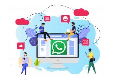 Cara BackUp WhatsApp 4.9 (167)