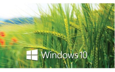 Cara membuka situs yang diblokir di PC Windows 10 4.7 (199)